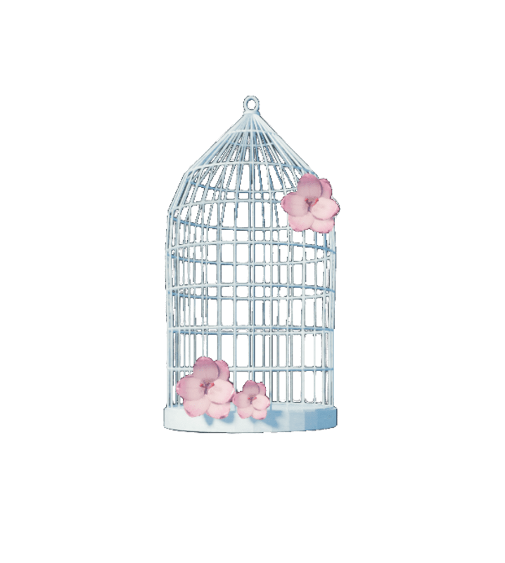 Cage with flowers