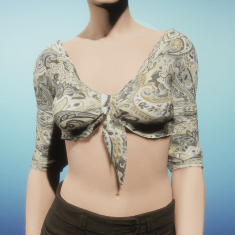 Tan Silk Paisley Tied Crop Top