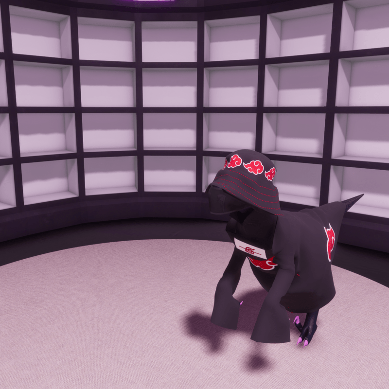 AKATSUKI RAPTOR robe only