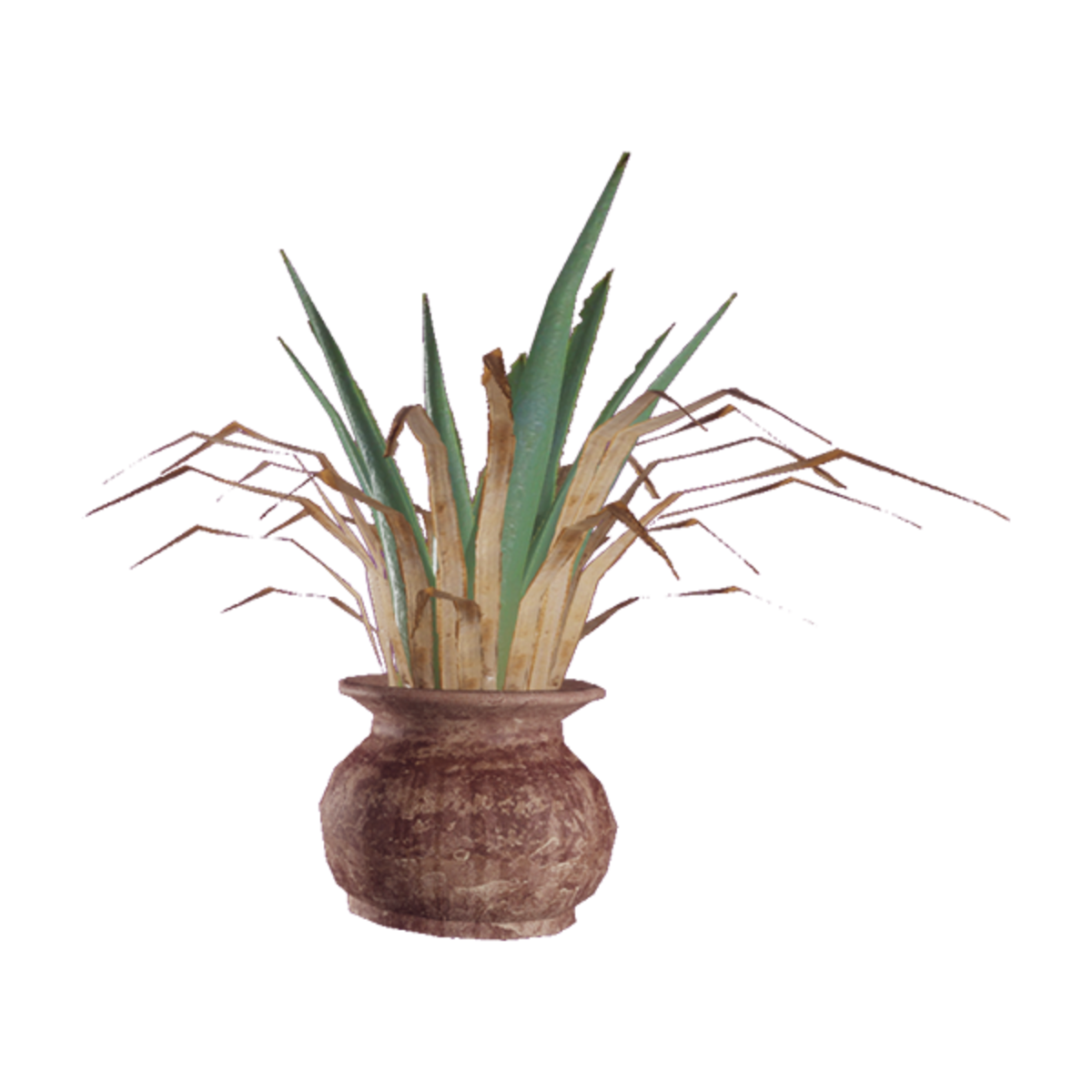 Desert Plant (Green)