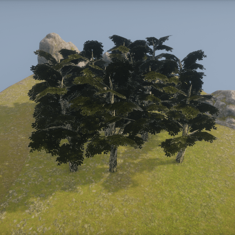 Dark Tree - Little Forrest ++ Dunkler Baum - Wald