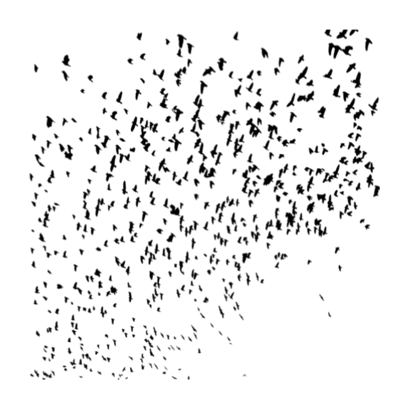 Flock Of Birds Wall Decal