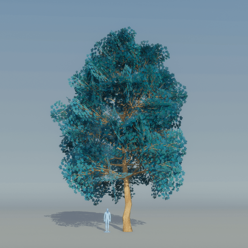 Mpale tree Blue 4