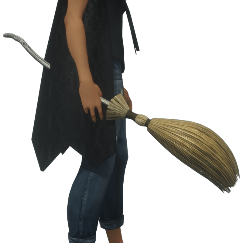 witch broom