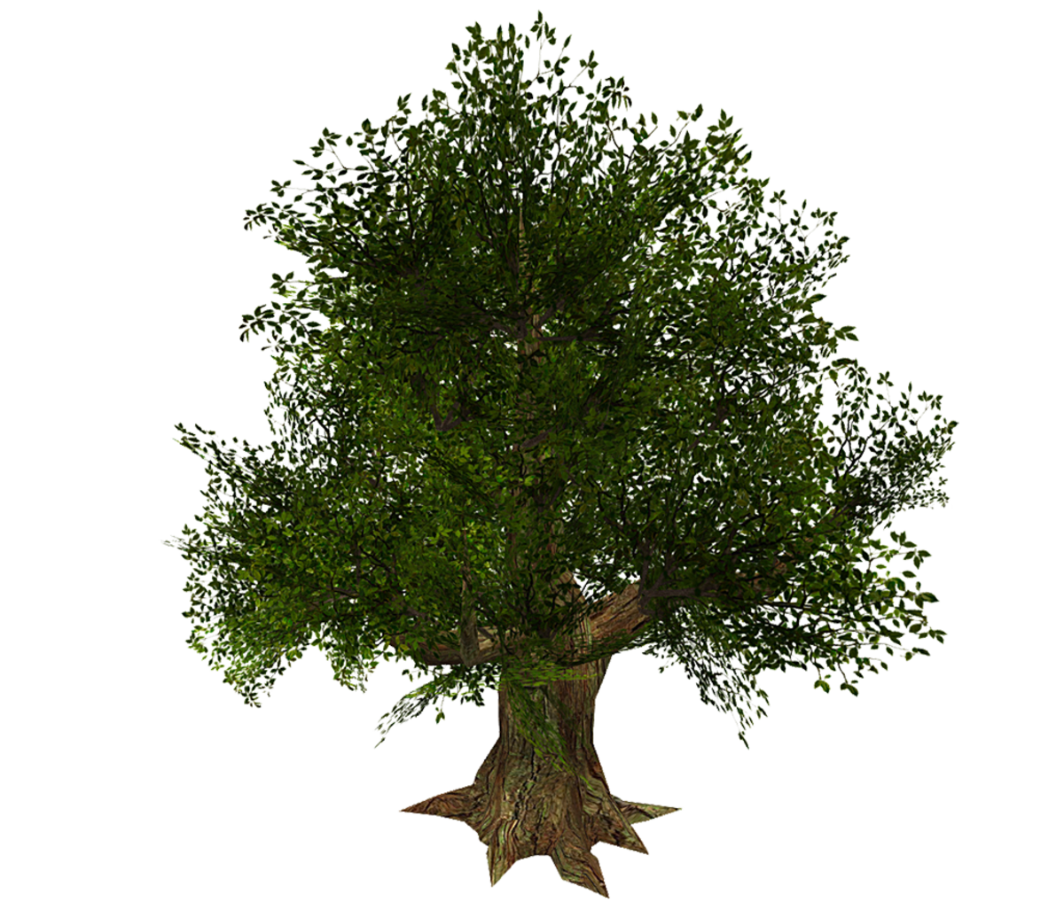 Tree Wide - Dark Green