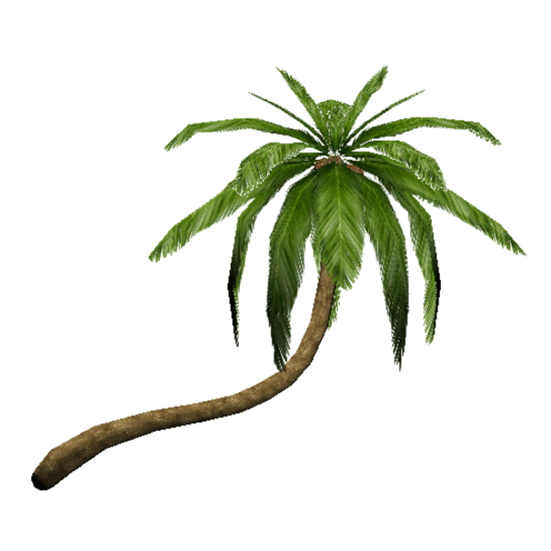 Palm Tree_02