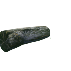 Wooden Log