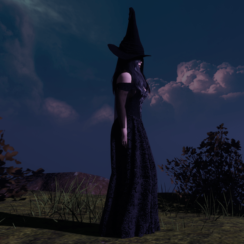 Black Witch Costume