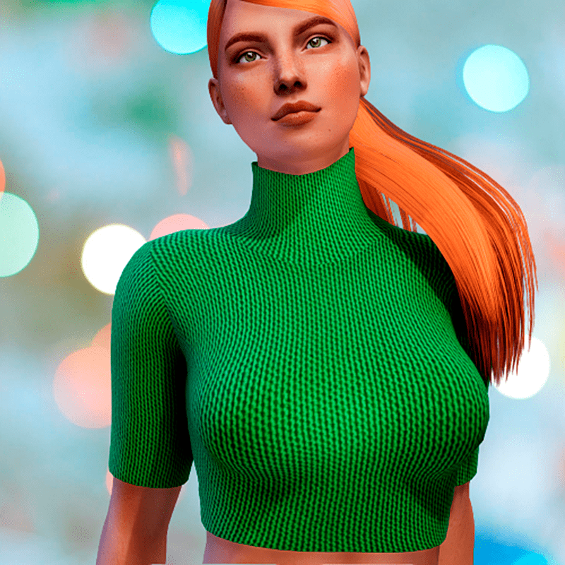 ✿ Turtleneck Top ✿