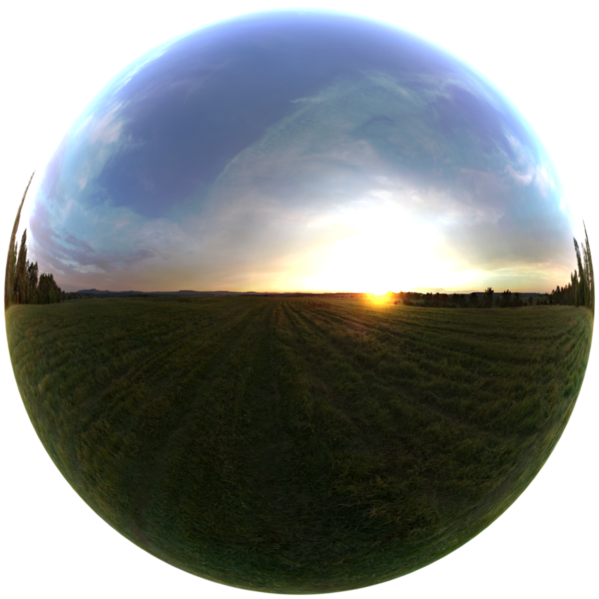 Four Seasons Field 5