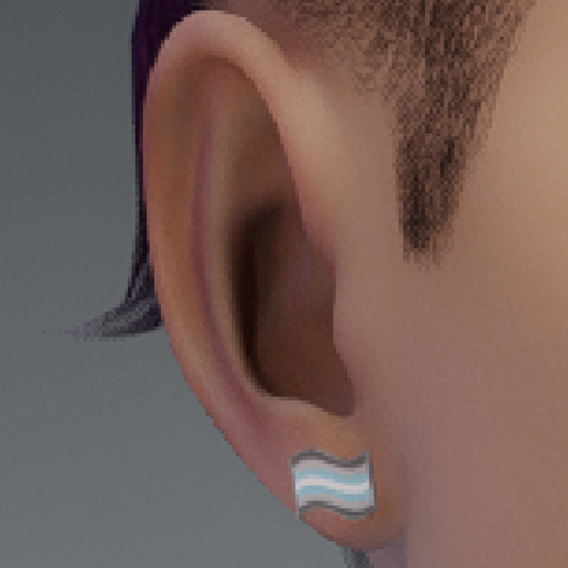 pride earrings demiboy