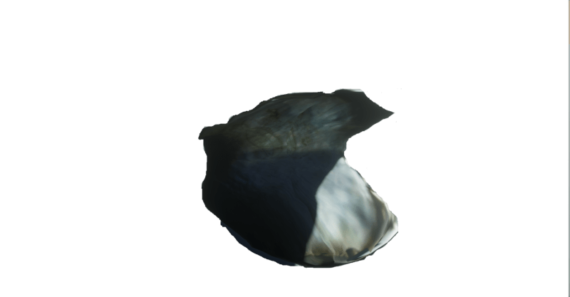 Oyster Sculpted