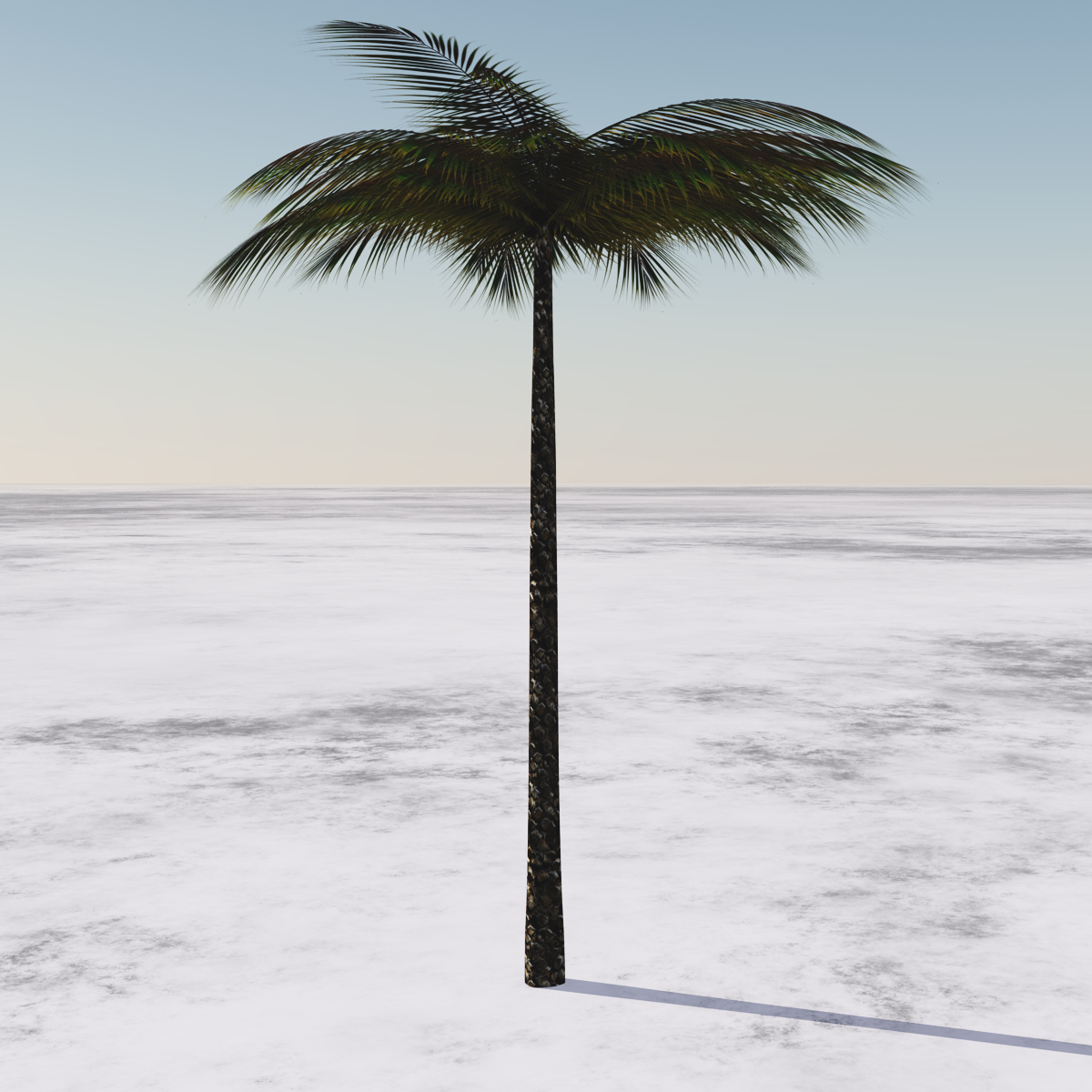 Palm Tree, animated with wind effect