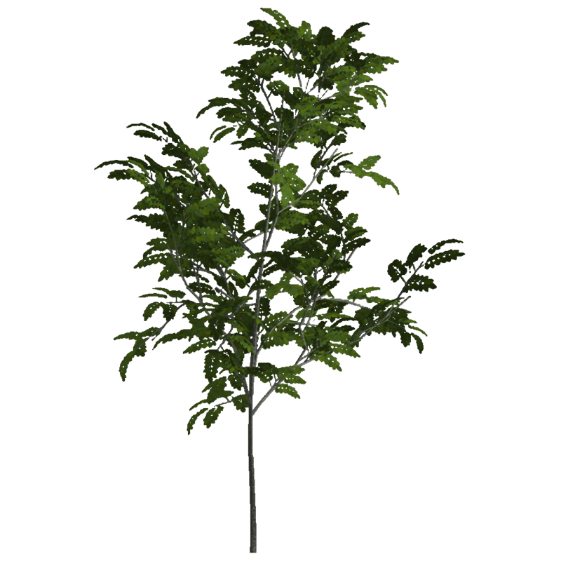 Ash Sapling 3 (Billboard)