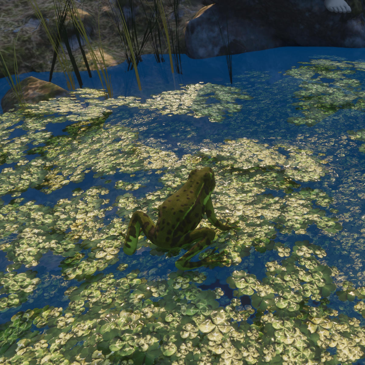 CUTE FROG ANIMATED V2