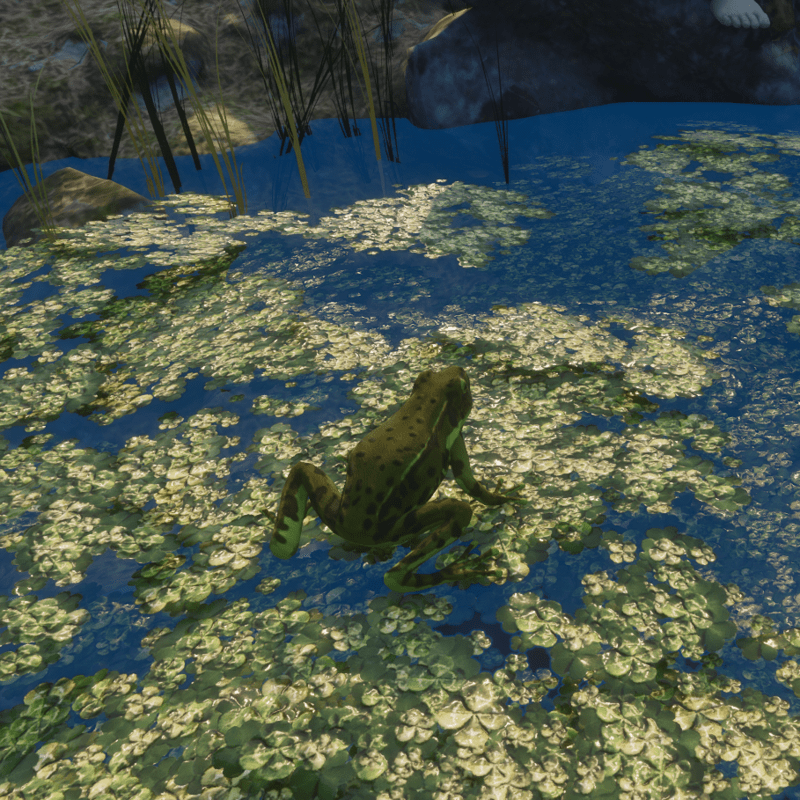 CUTE FROG ANIMATED V2