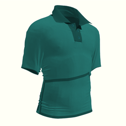 Green Polo with Lines