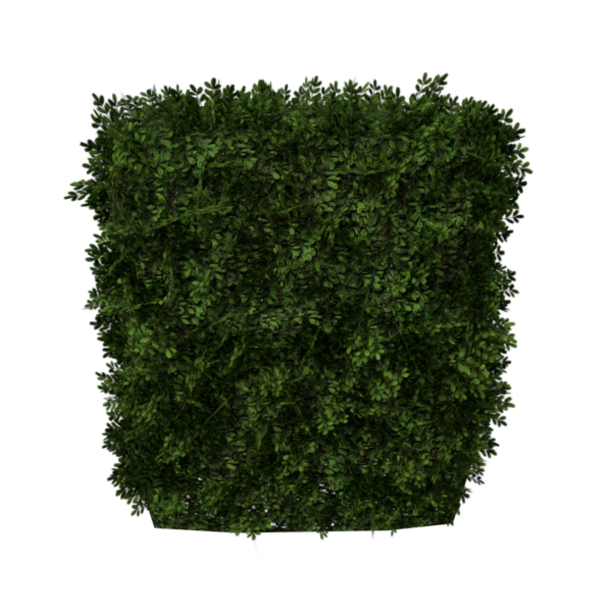 Hedge Straight 2x3 (Autumn)