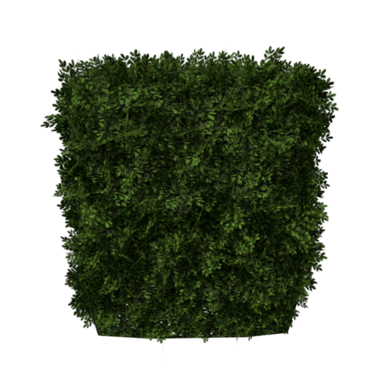 Hedge Straight 2x3 (Autumn)