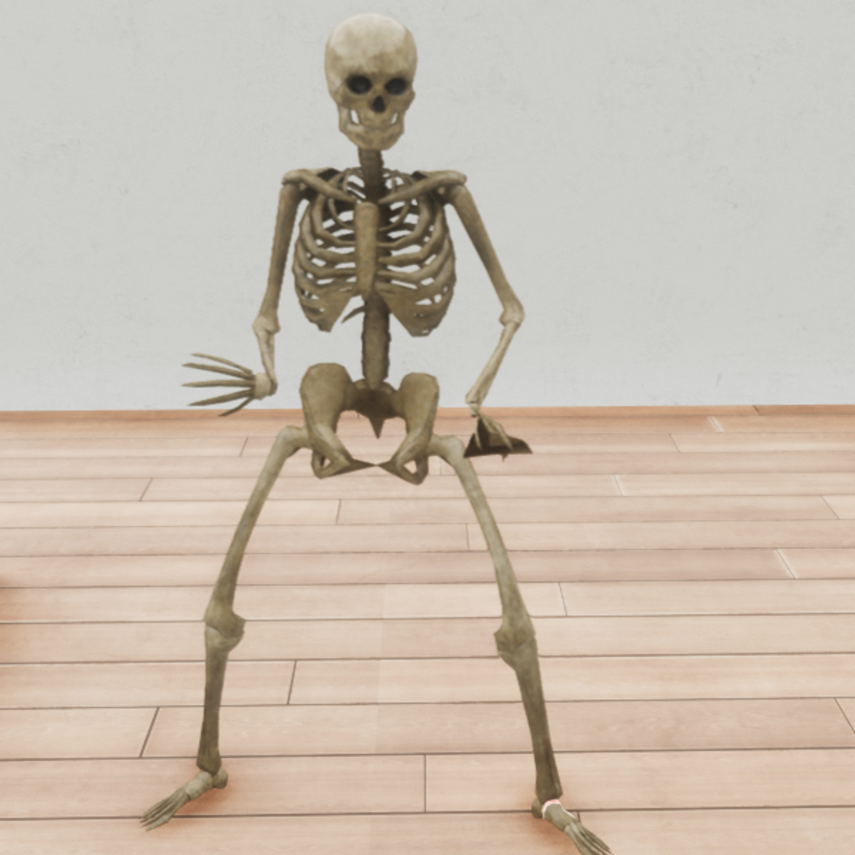 Skeleton Standing Animated dummy