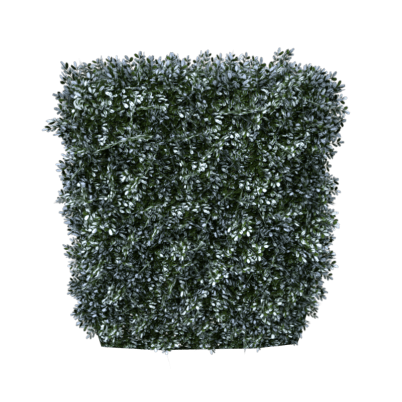 Hedge Straight 2x3 (Winter)