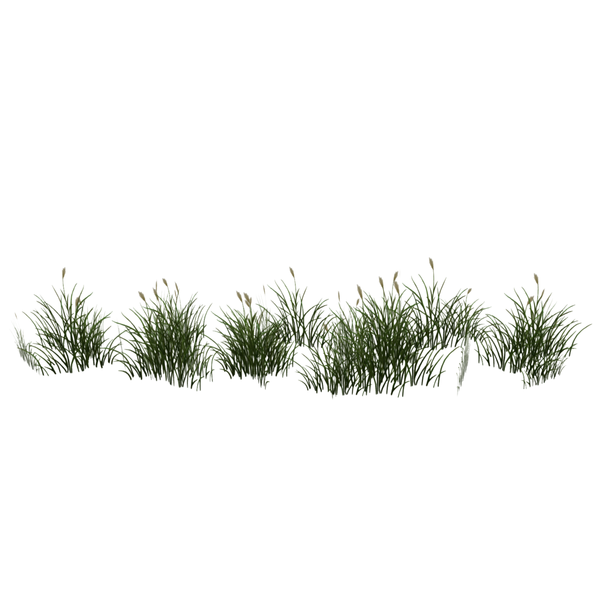 Grass Patch_Flowering_Border