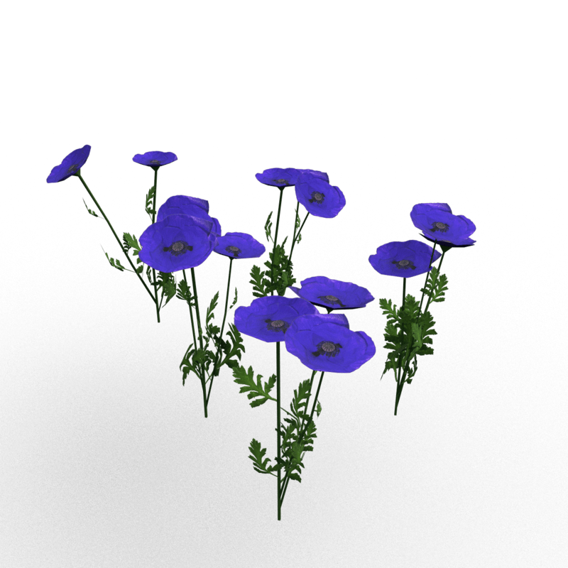 Plant-Poppy Group Purple