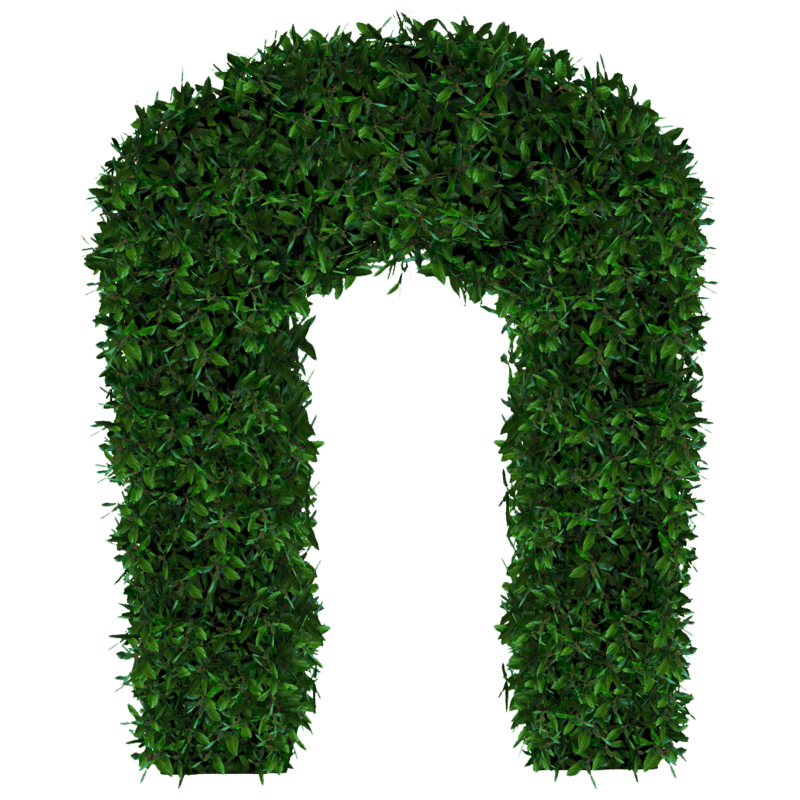 Hedge Arch_Green