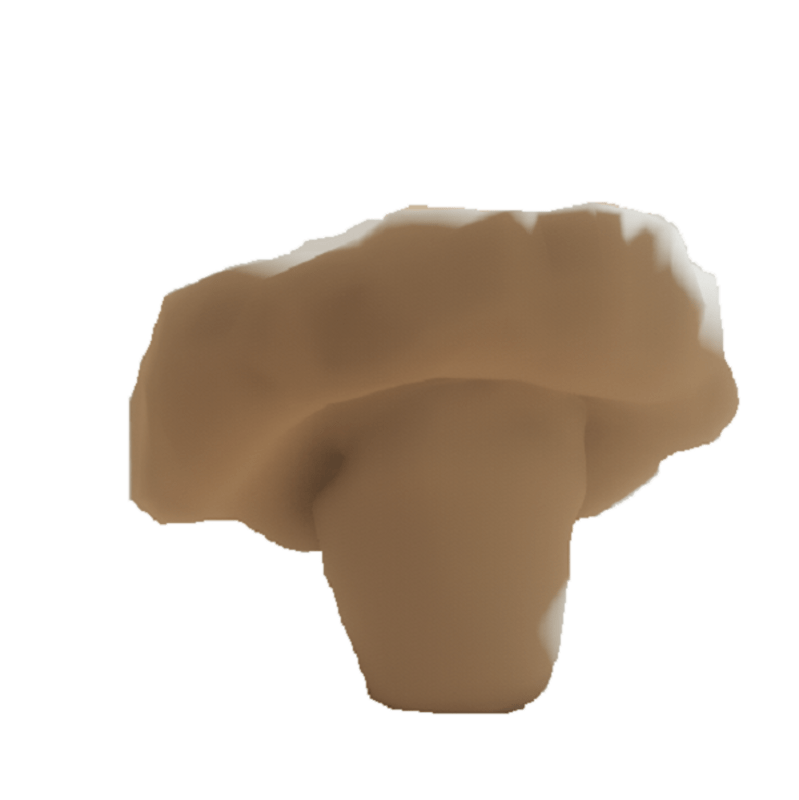 Mushroom Sculpted