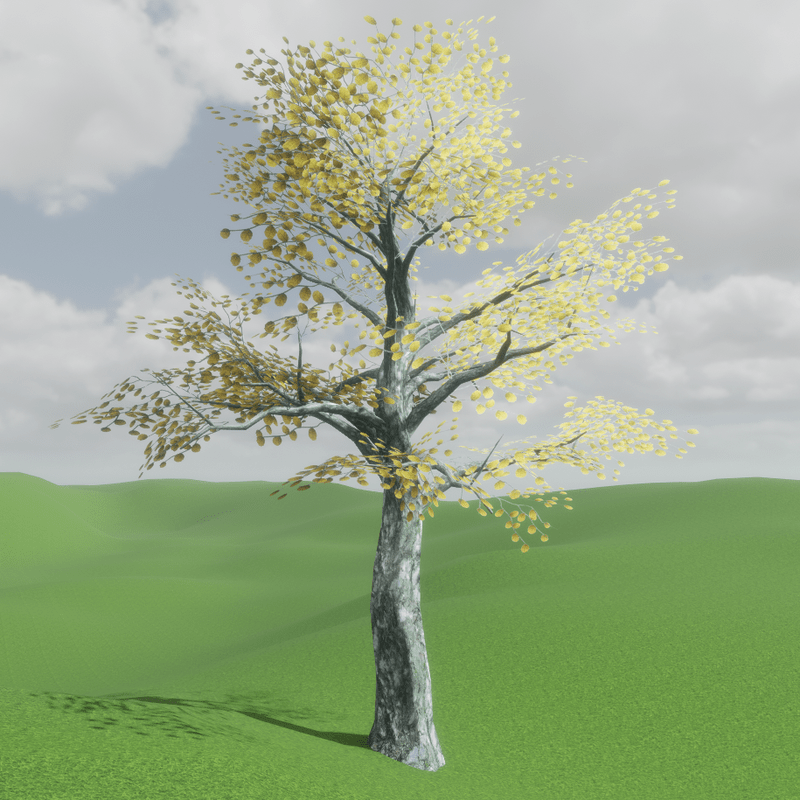 Elm Tree Fall Yellow