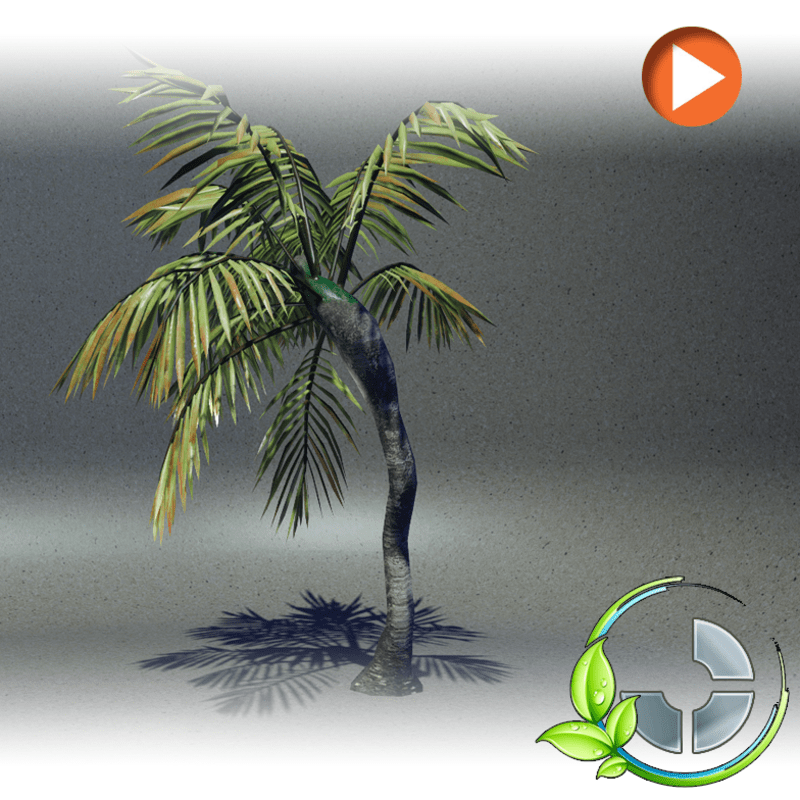 Animated Palm-Twisted Sister 3