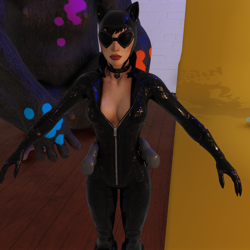 catwoman _ fantoy gfront