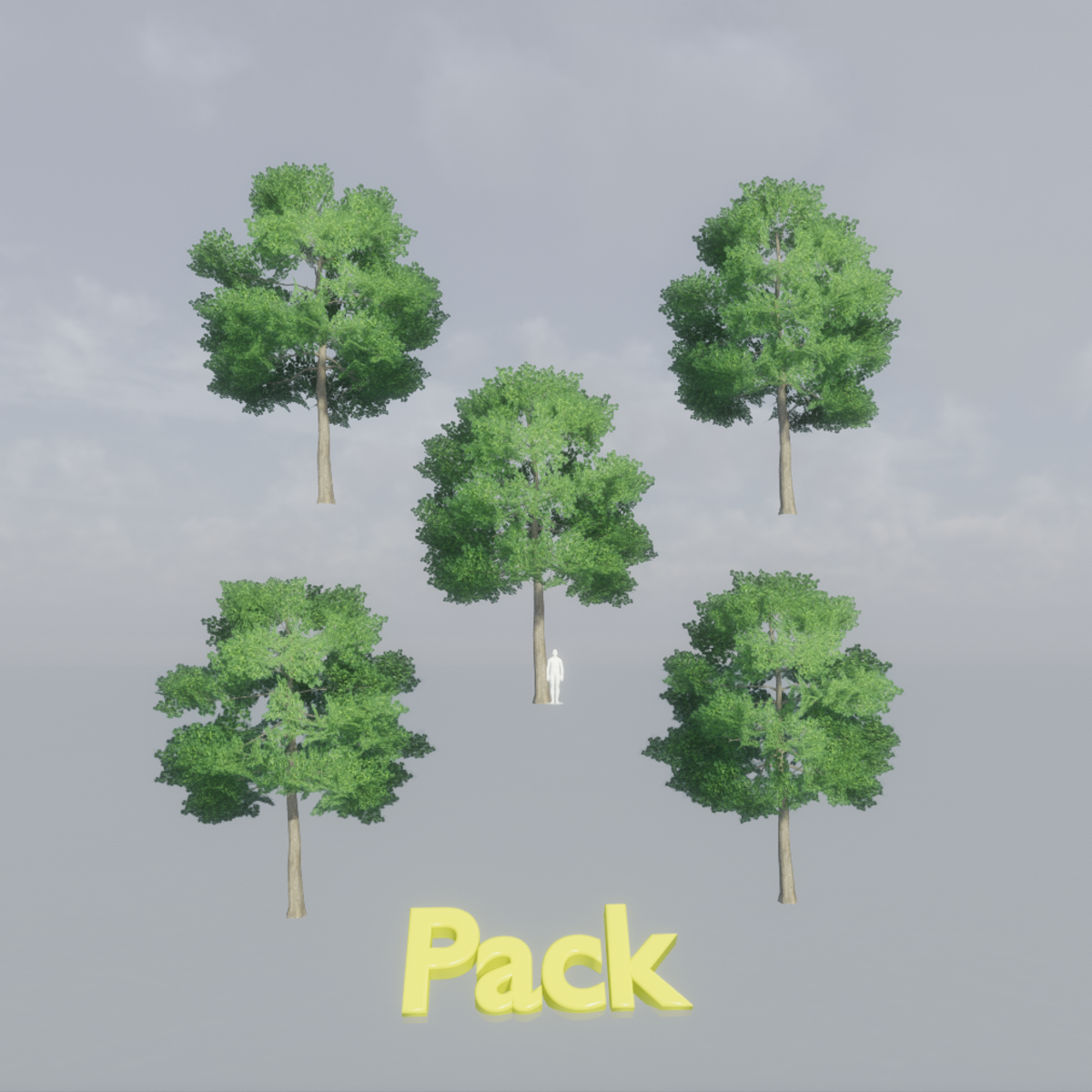 Beech Tree Pack