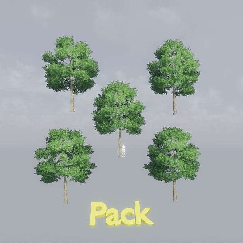 Beech Tree Pack