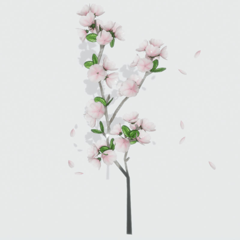 SAKURA CHERRY BLOSSOM BRANCH