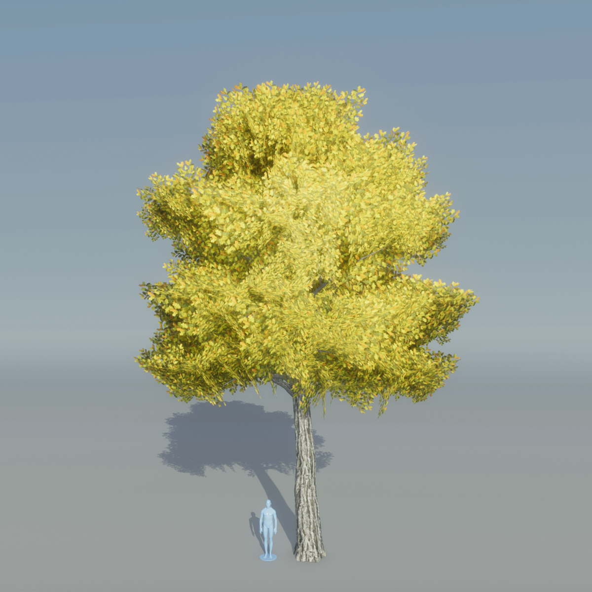 oak tree 4 (Yellow)