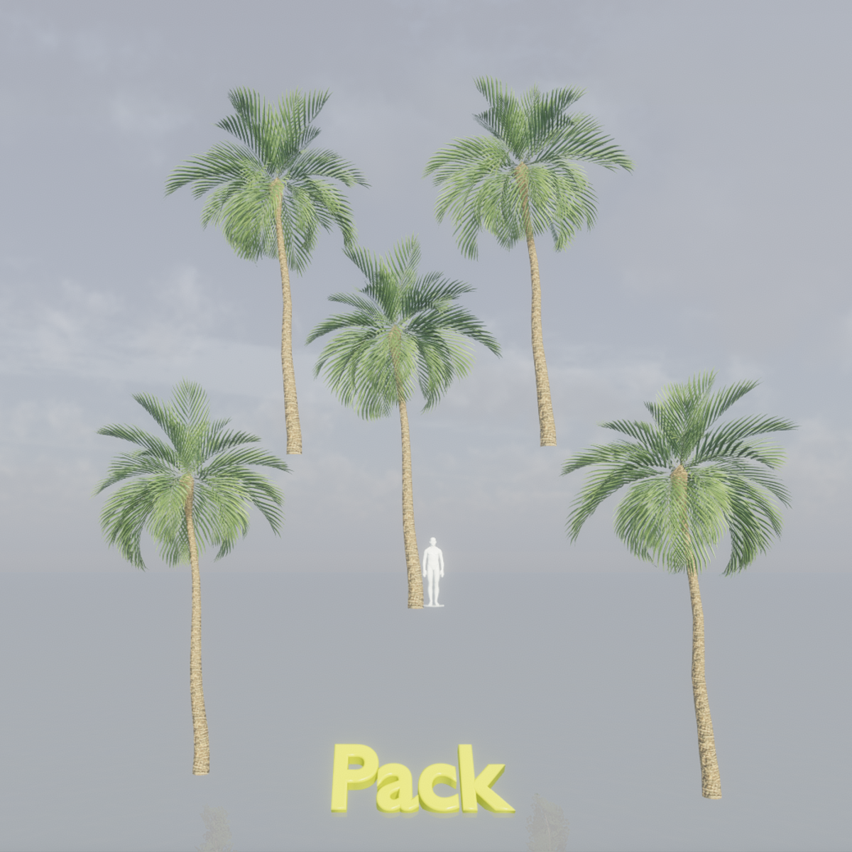 Queen Palm Tree Pack