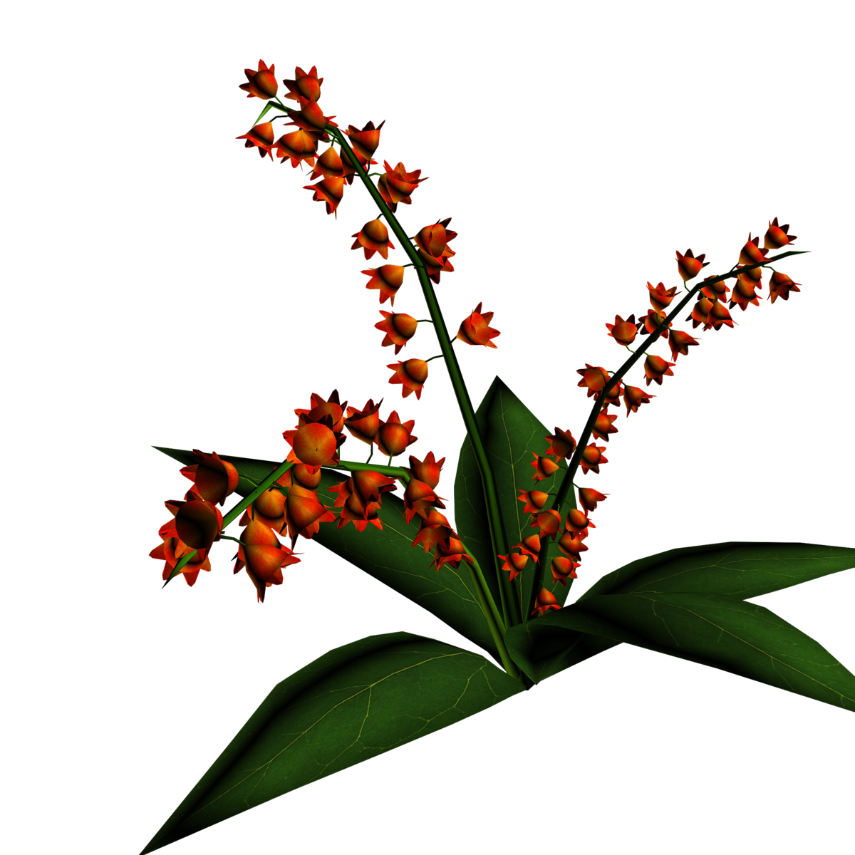 Lily of Valley Plant 2