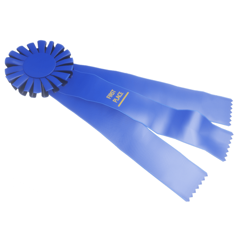 Blue Prize Ribbon