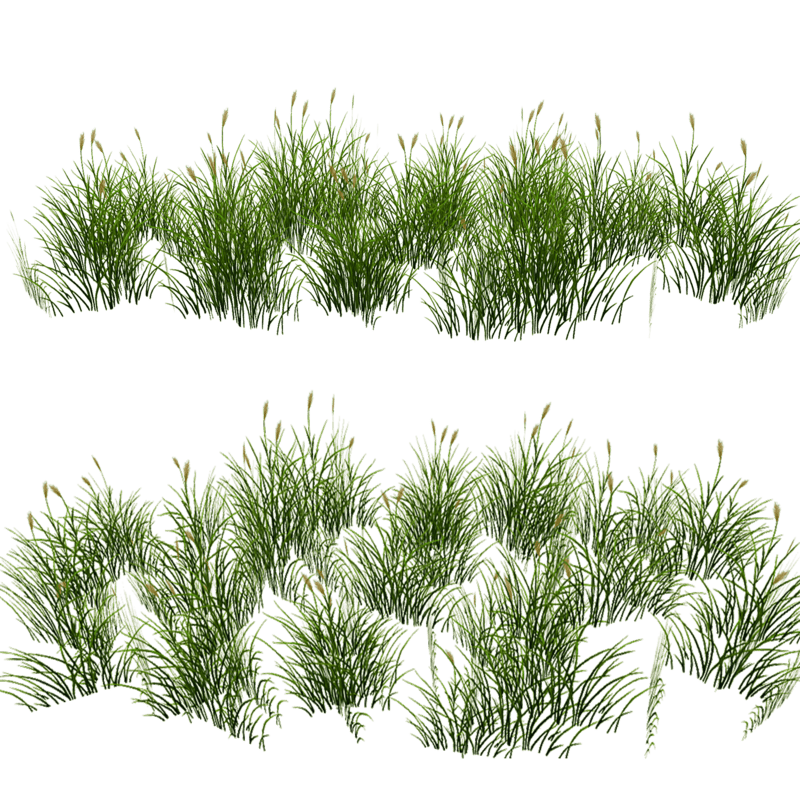 Grass Patch Flowering_Oval