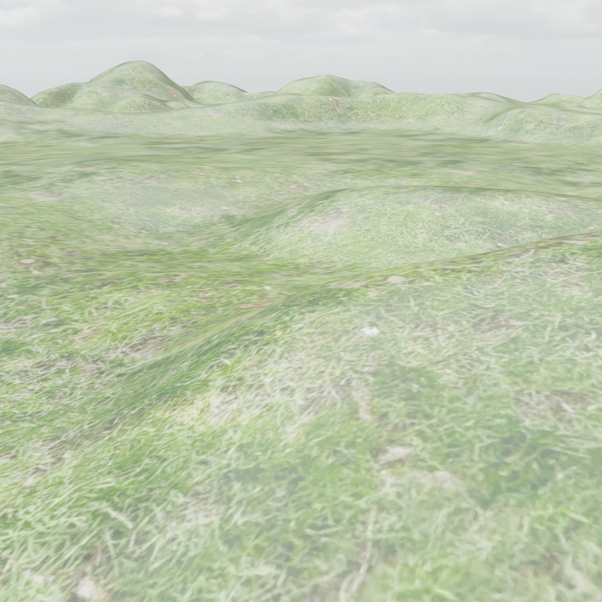 Grass Terrain