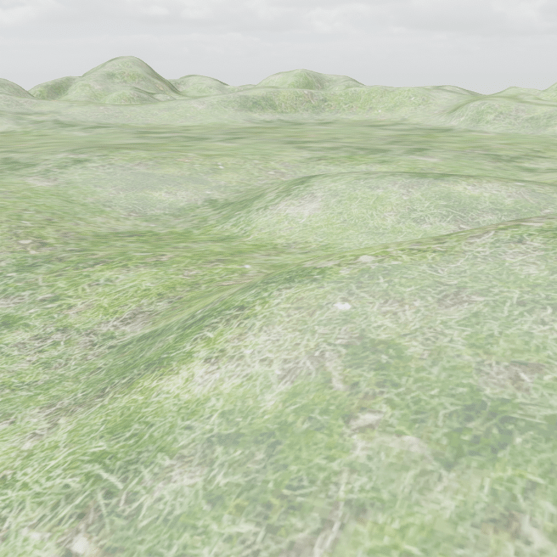Grass Terrain