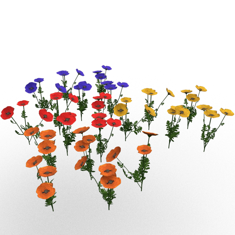 Plant-Poppy Group XL Colors