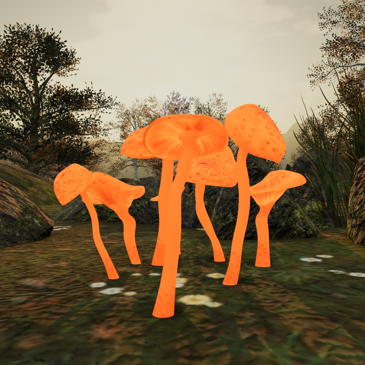 Fall Mushrooms Orange