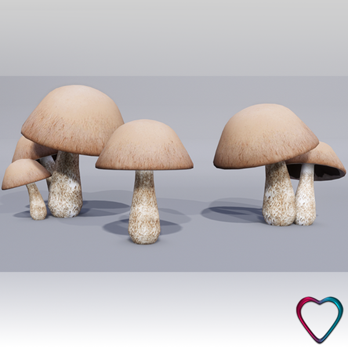 Collection of Mushrooms - Brown