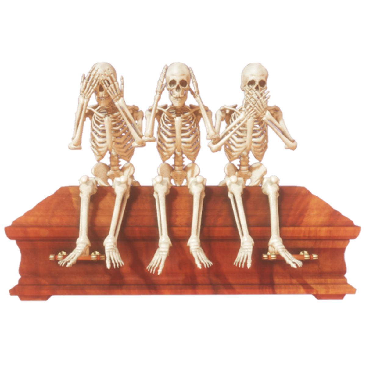 Three wise skeletons anim