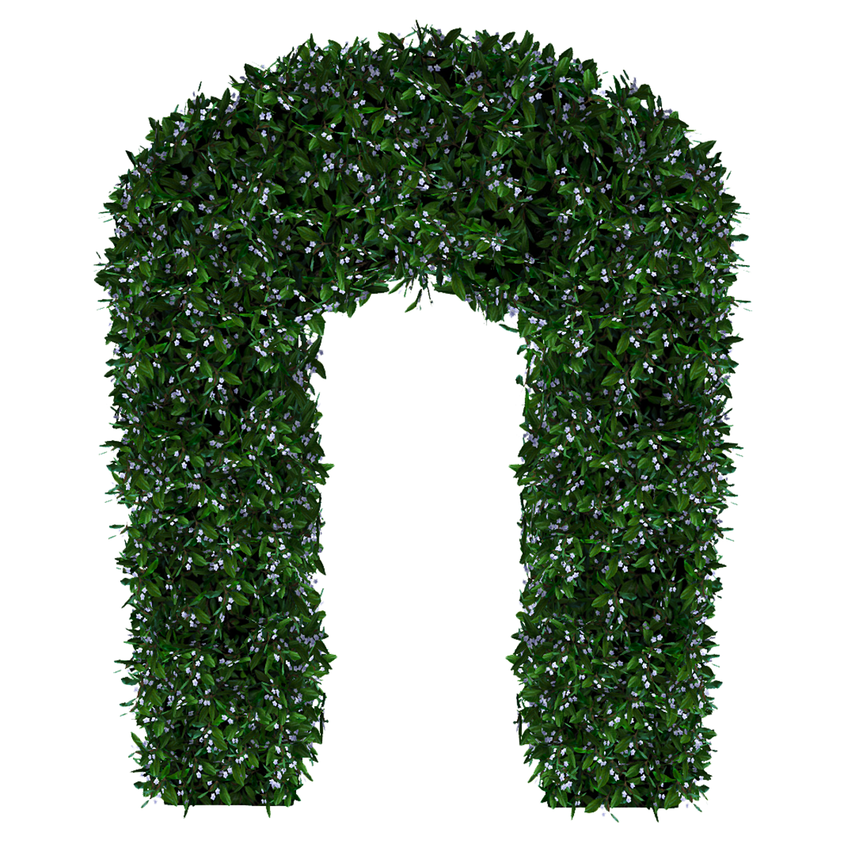 Hedge Arch_Lilac Flowers