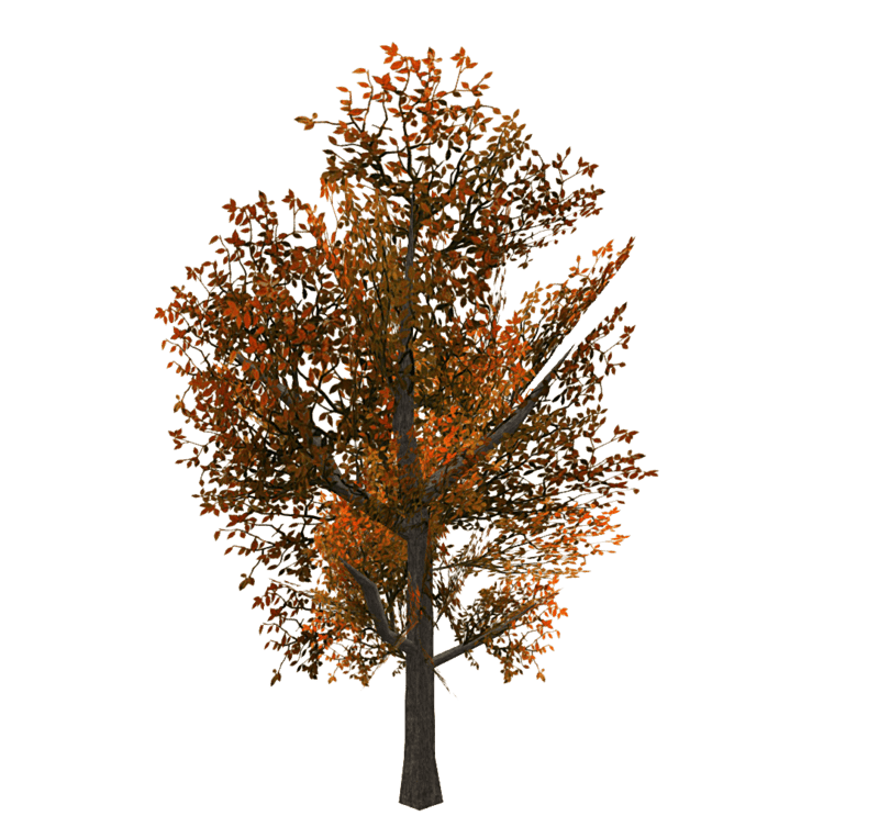 Tree 2 - Copper