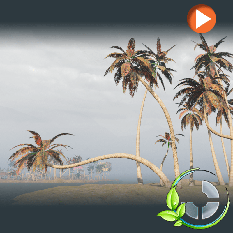 Animated Palm Africa Ultra Bundle
