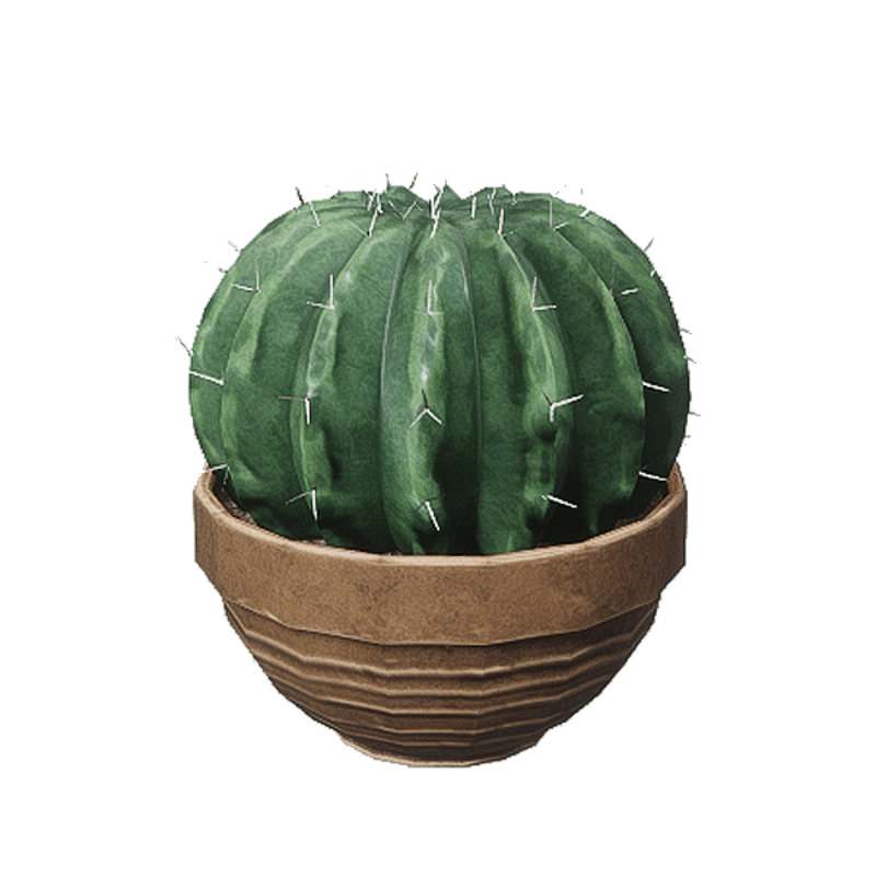 Cactus